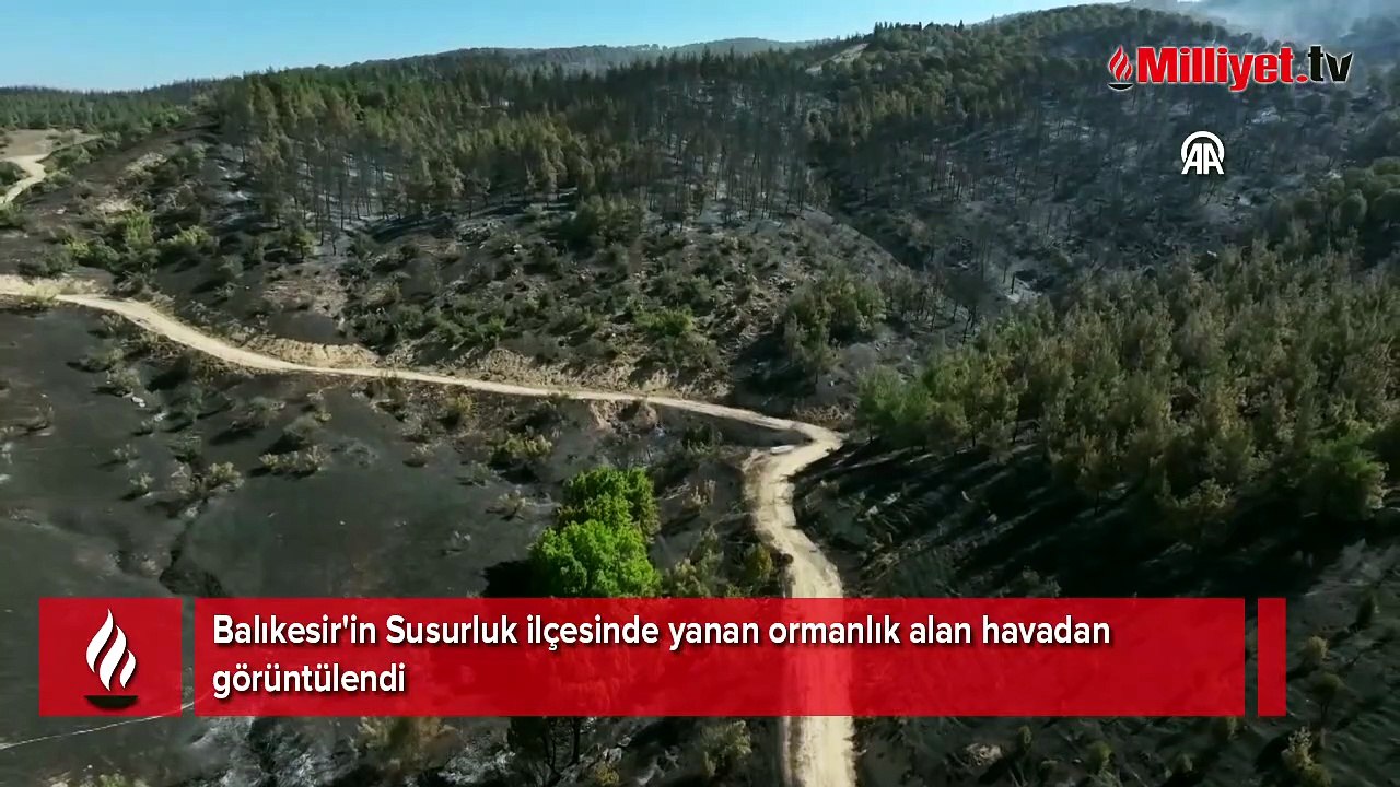 Balıkesir'in Susurluk ilçesinde yanan ormanlık alan havadan görüntülendi