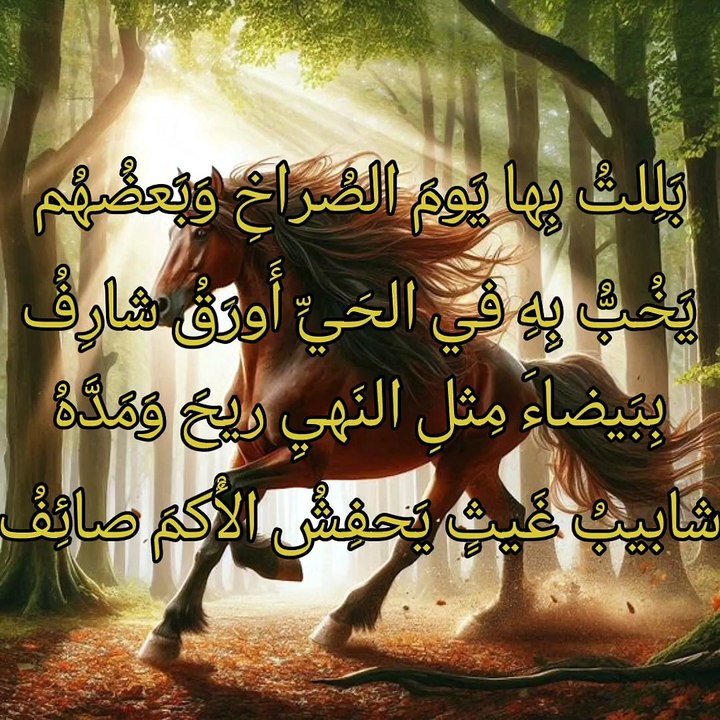 لمن دمن كأنهن صحائف   ،    ابن أم حزنة