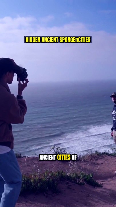Hidden Ancient Sponge Cities?! 🌊