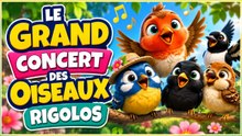 🐦 Le Grand Concert des Oiseaux Rigolos 🐦 | Comptine pour Enfants | Chanson des Oiseaux | Cui Cui