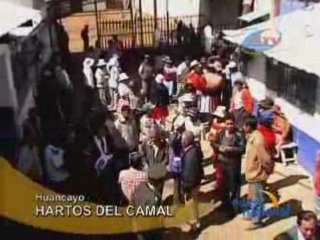 HARTOS DEL CAMAL - HUANCAYO