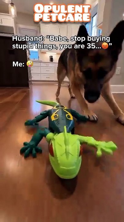 RC Climbing Lizard Toy – Wall-Climbing Chameleon with Remote Control