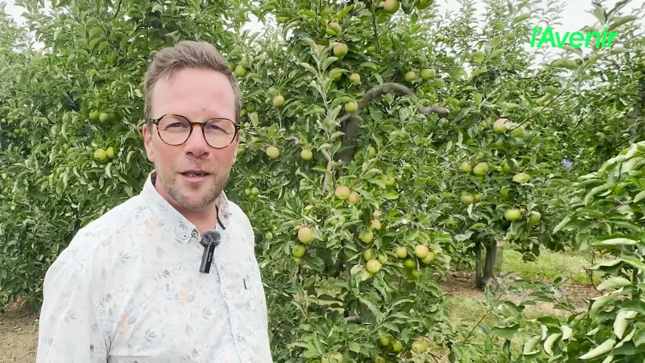 Les vergers victimes de la sécheresse
