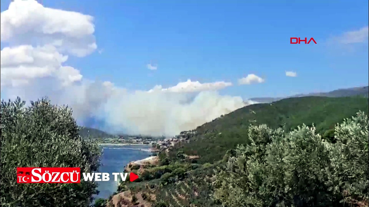 Marmara Adası’nda orman yangını