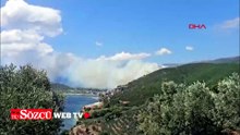Marmara Adası’nda orman yangını