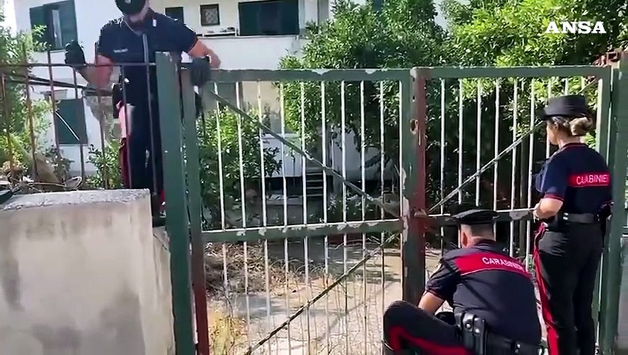 Sisma ai Campi Flegrei, salvato un cane bloccato in un edificio inagibile