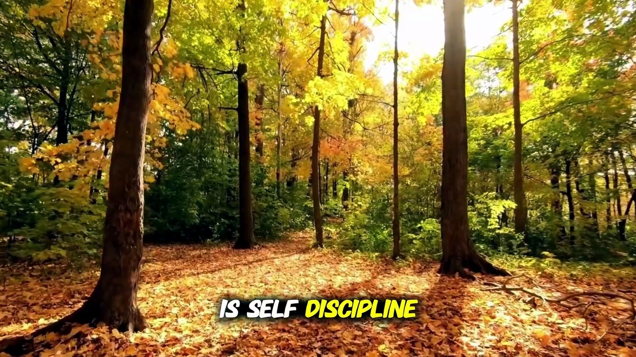 Watch This If You Lack Self Discipline