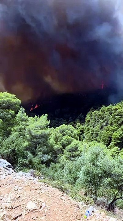Βίντεο από το Πόρτο Γερμενό