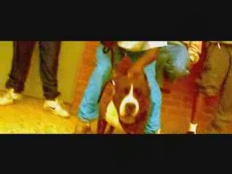 BOUCHEES DOUBLES  LIS NOS COEURS