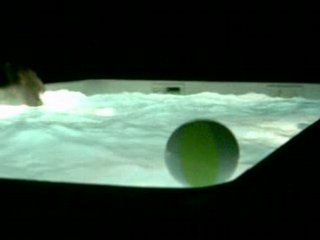 renaud qui a sont petit quart heur de folie xd