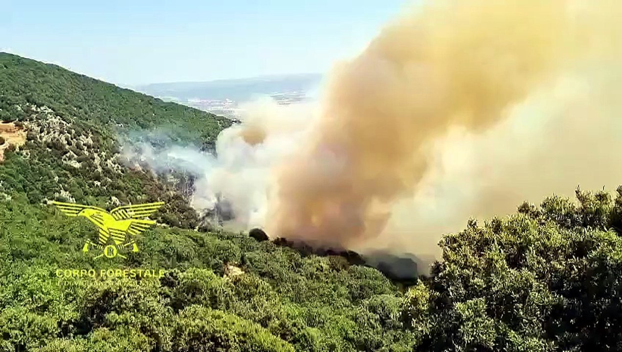 Vasto incendio a Bottidda: in azione diversi mezzi aerei | SABATO 1? AGOSTO