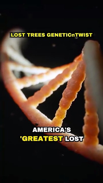 Lost Tree's Genetic Twist! 🌳