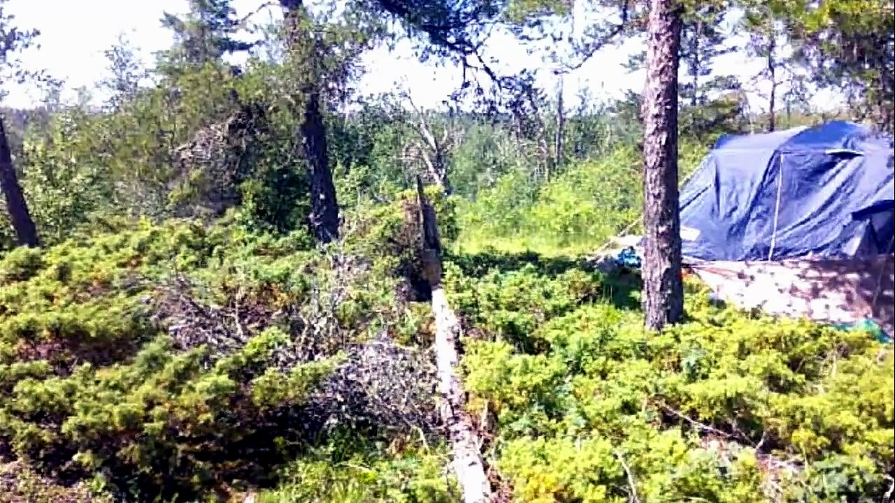 Canoe Trip to Caddy Lake, Manitoba #canoetrip #outdoorsadventure #outdoorlife #travel(1)