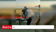 Gaziantep’te hayvan otlatma kavgası; 2 yaralı