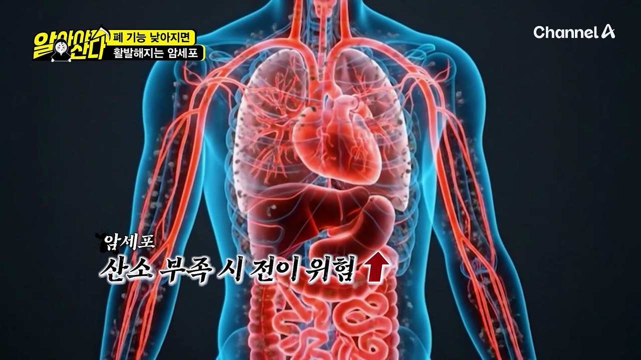폐 기능이 낮아지면 전신에 문제가 생기는 이유!