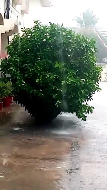 short video