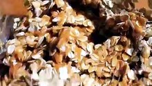 Foods rich in fiber