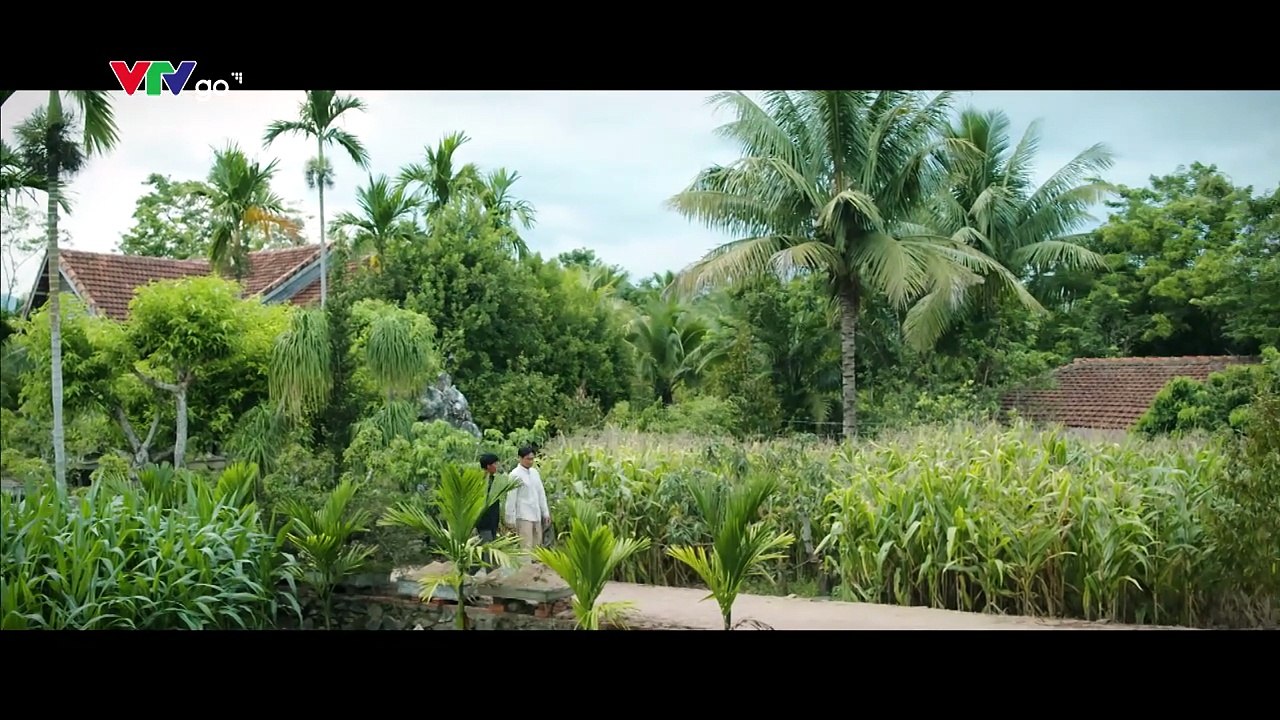 TRỜI CAO NGUYÊN XANH - TẬP 11