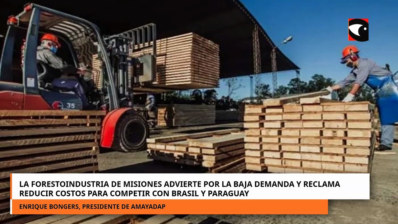 La forestoindustria atraviesa un escenario complejo marcado por una fuerte retracción de la demanda