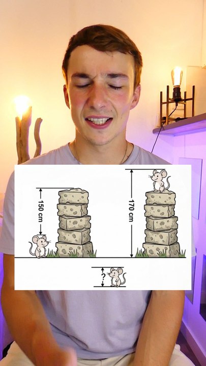 Énigme souris