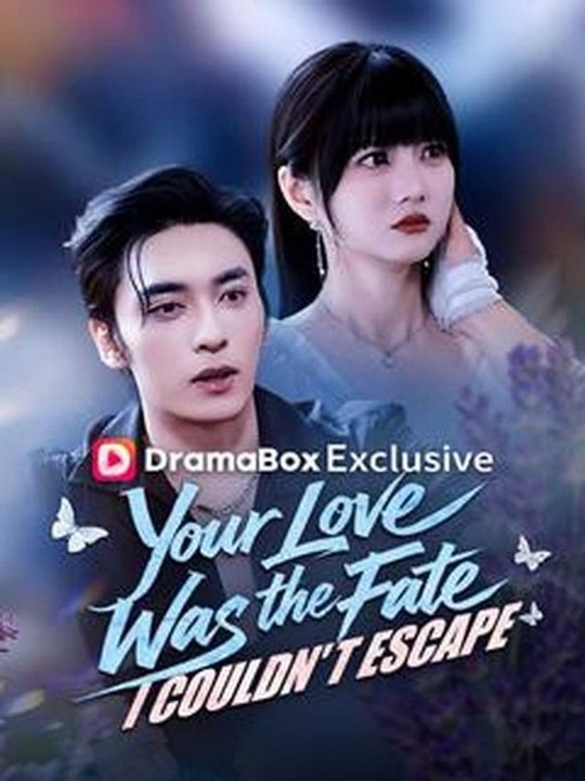 Your Love Was the Fate I Couldn't Escape #Dramabox | Full Movie Drama #GoldReelTV