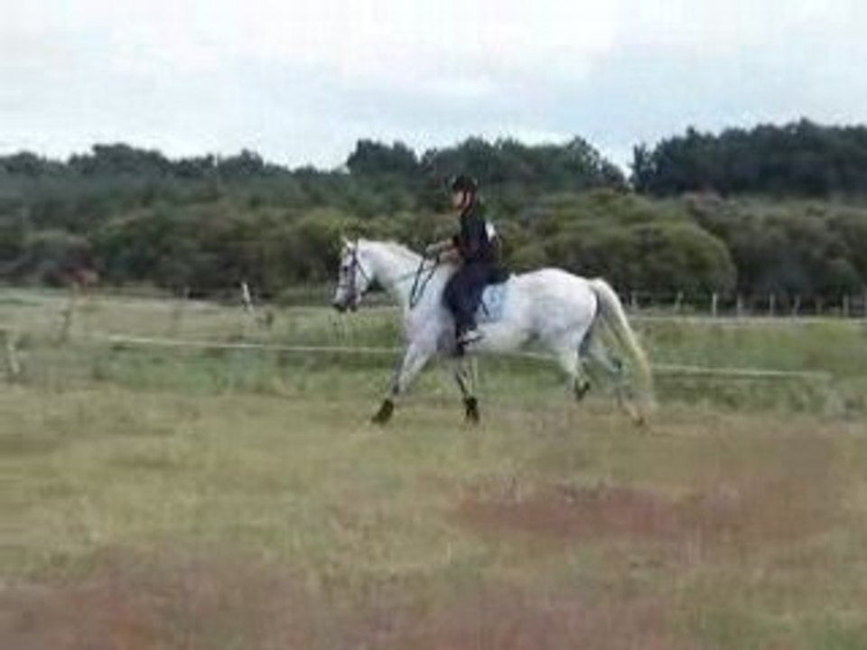 Homme & Moi Strick .