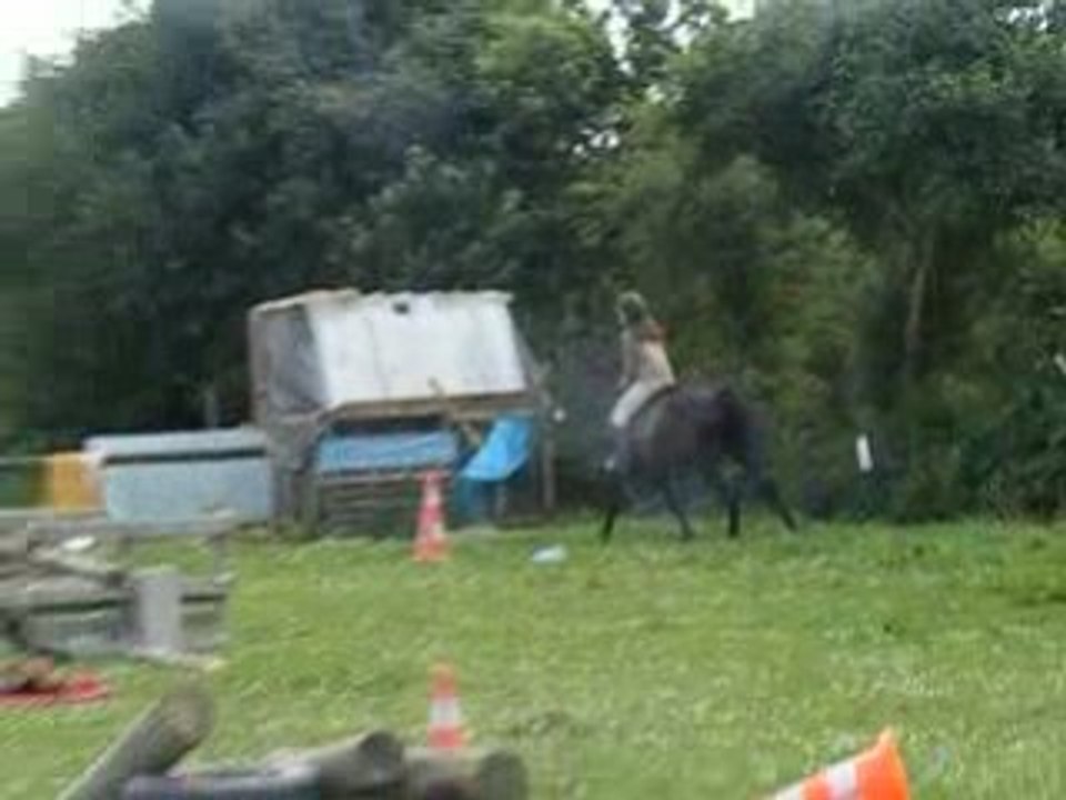 DSCF1776