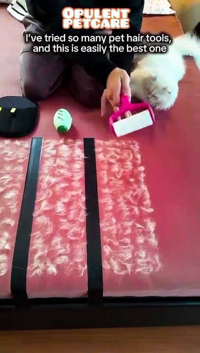 Pet Hair Removal Glove — $6 Flash Sale (61% Off) | Effortless Cleanup