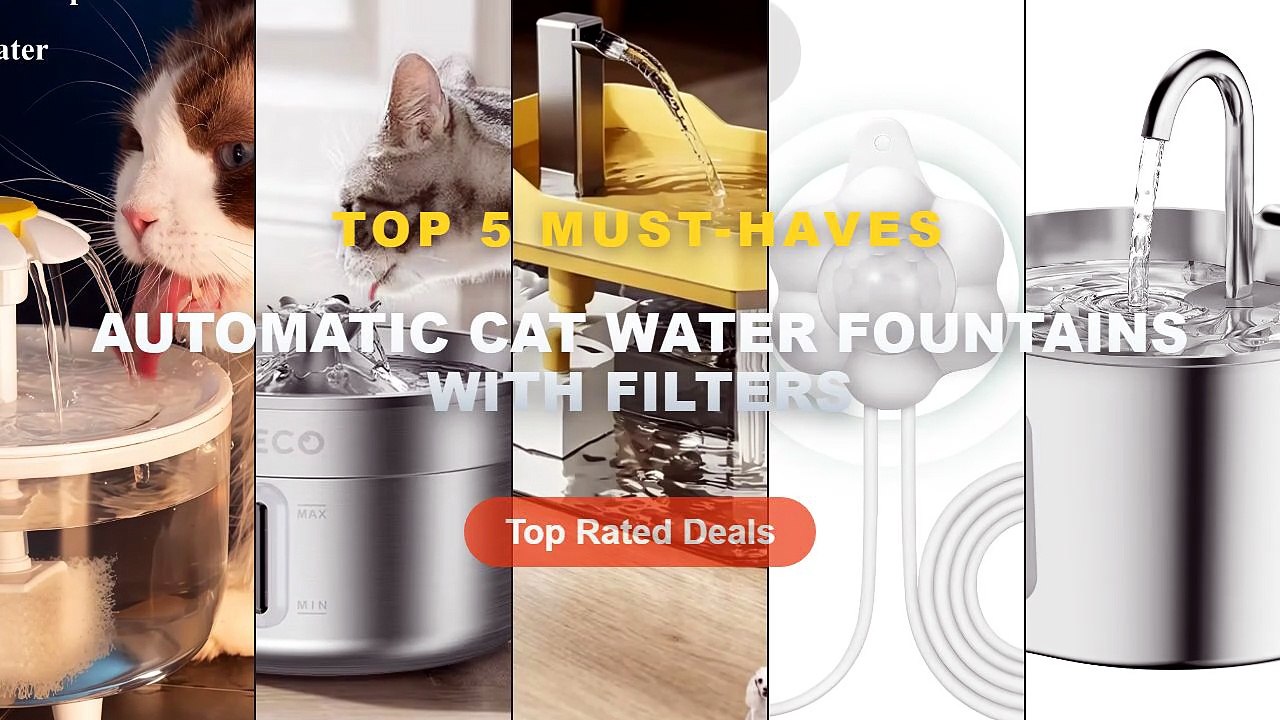 Best Automatic Cat Water Fountains With Filters on AliExpress | Review - Stainless Steel Cat Water Fountain,2.2L,Pet Wat...