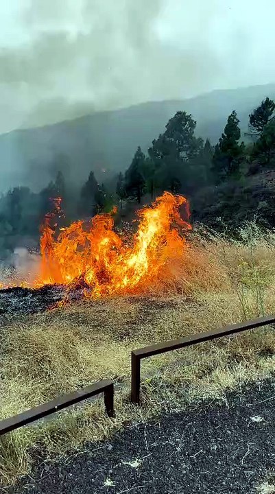 Conato de incendio en Los Loros: los bomberos actúan de emergencia