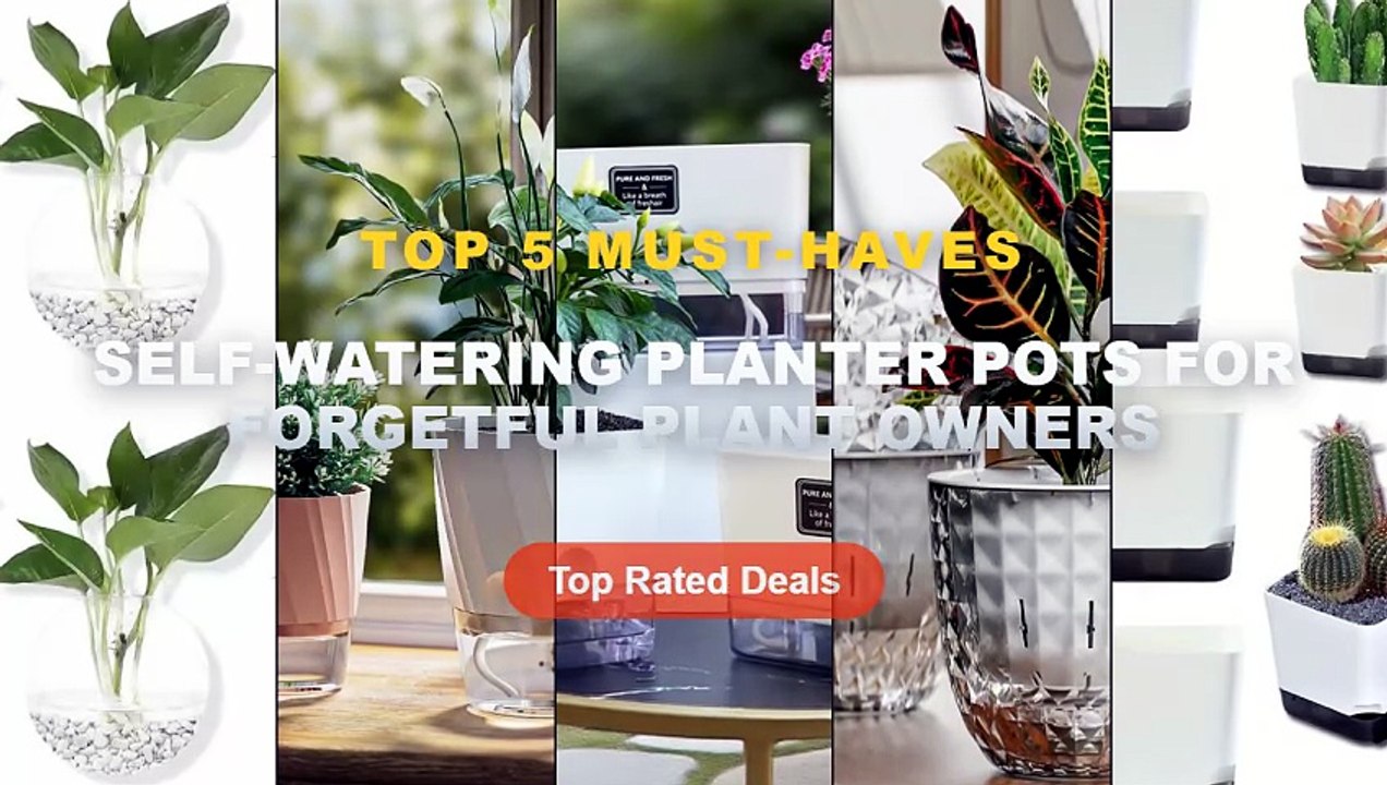 Don't Buy Self-Watering Planter Pots For Forgetful Plant Owners Before Watching This!