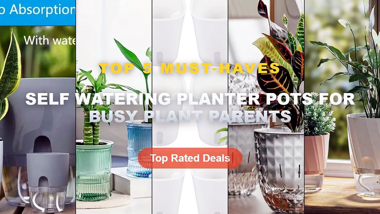 Ultimate Guide to the Best Self Watering Planter Pots For Busy Plant Parents