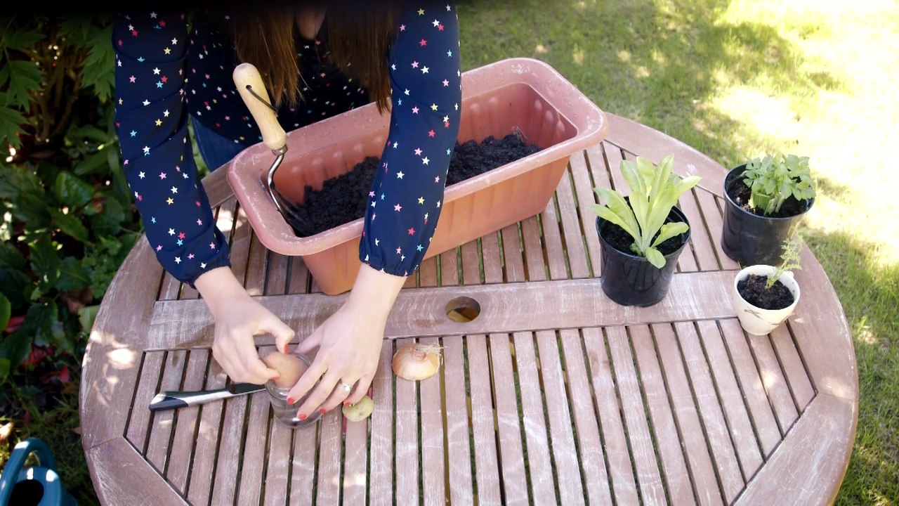 How To Regrow Vegetables From Scraps