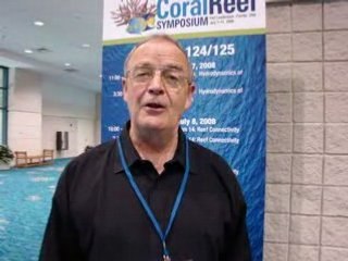 Tim Radford's thoughts on snorkelling