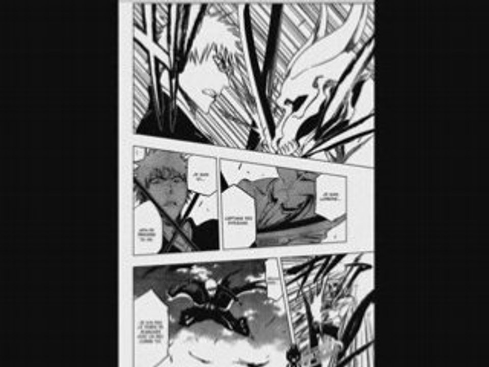 Bleach scan 317 FR