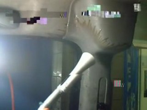 Apex Car Care apexturkiye.com.tr 0535 254 53 25