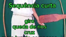 Brazilian martial art training session