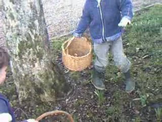 Oeufs löan Mael 27 03 2005