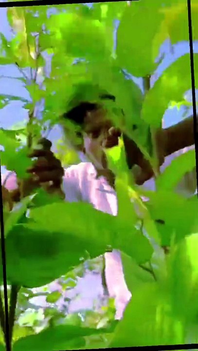Tenge tenge part 1😂😂  #funnyshorts #dailymotion #subscribe