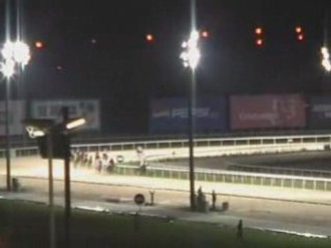 2008 (202) Premio IG MARKETS CDF's (REPUBLICANO)