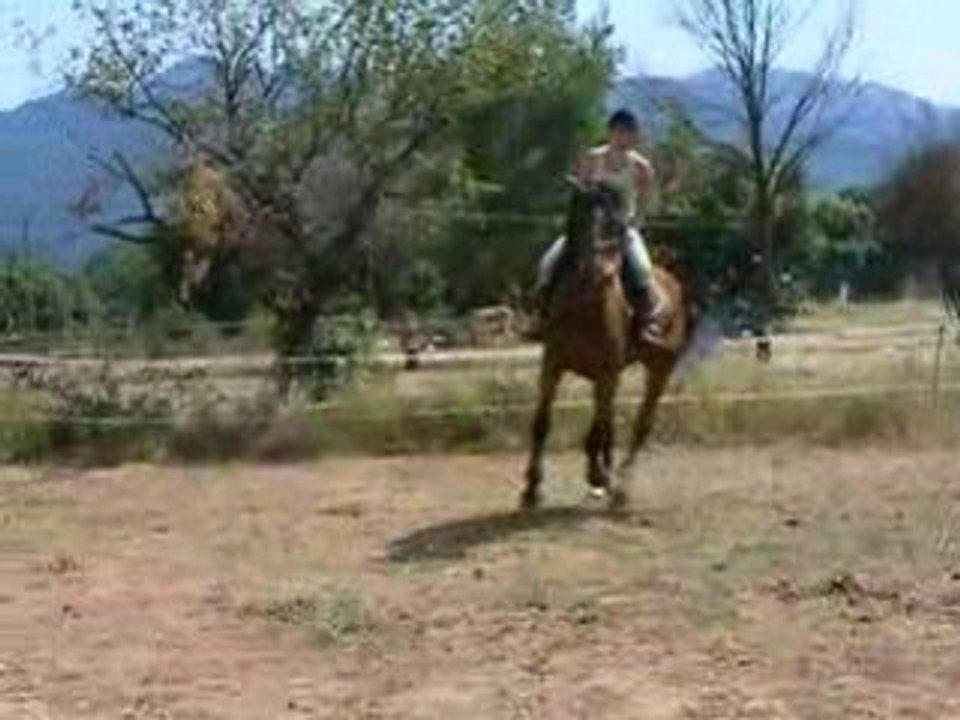 lou le 11/007/2008