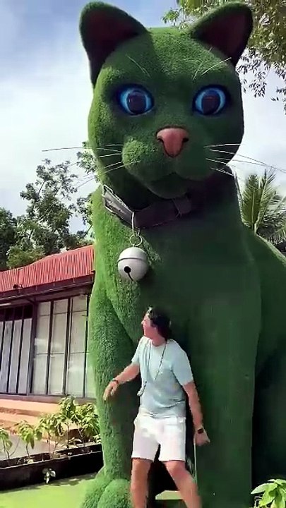 This Cat Is Really Alive! 😹🐾✨