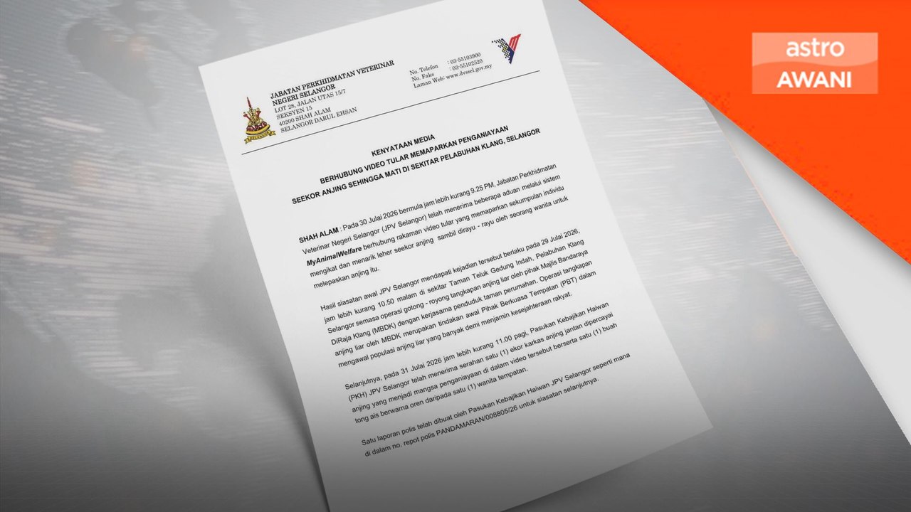 Anjing mati ketika operasi, JPV Selangor siasat