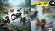 #99PercentFail 😵😵‍💫 How Many Ducks Are There? (Part 1)🦆