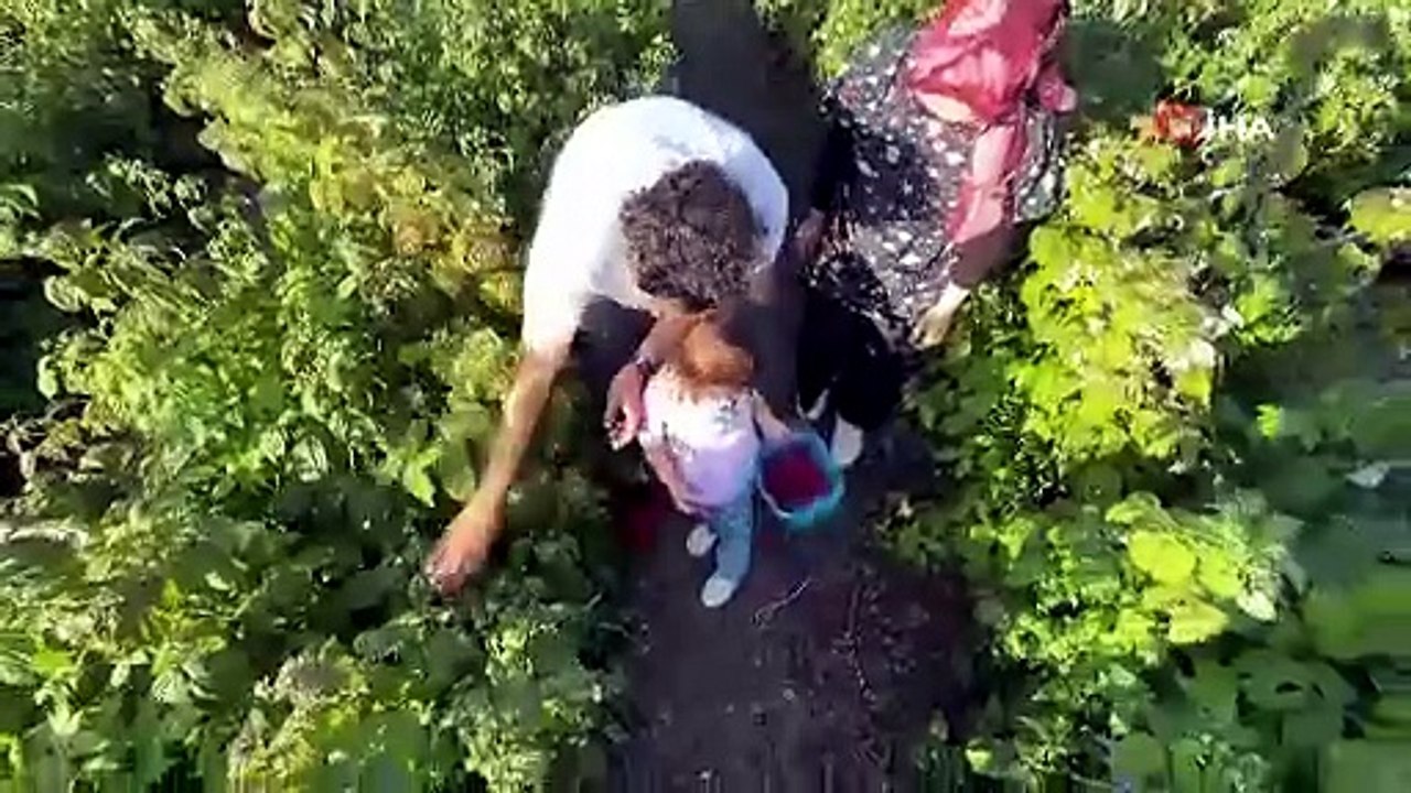 Kaymakamlıktan vazgeçti, ''Ye-Topla-Öde'' sistemini kurup kendi işinin patronu oldu