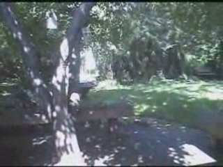 For Sale:  2453 Bunker Hill, Ann Arbor, MI