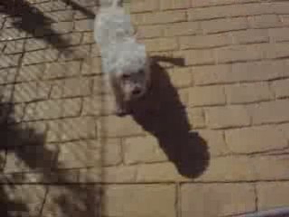 Eliott nos debut dans le "jardin" xD