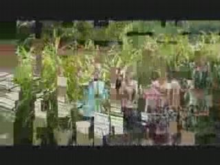 Where the hell are they? - Thailand 2008