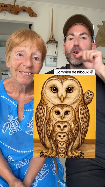 COMBIEN VOIS-TU DE HIBOUX 🦉 ?
