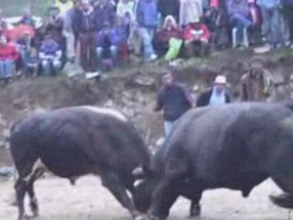 YALÇIN KÖŞE BUCAK-3-www.kavrun.tr.gg